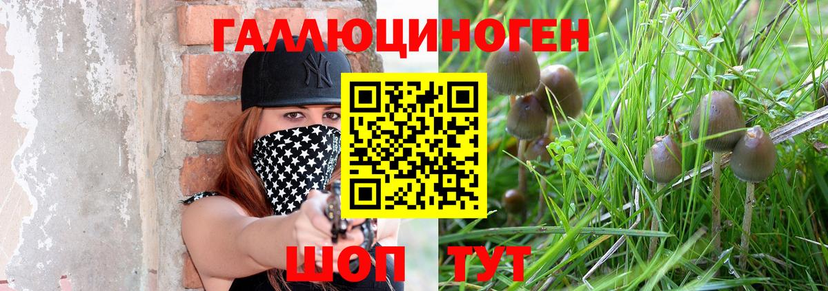 Галлюциногенные грибы Magic Shrooms Мценск